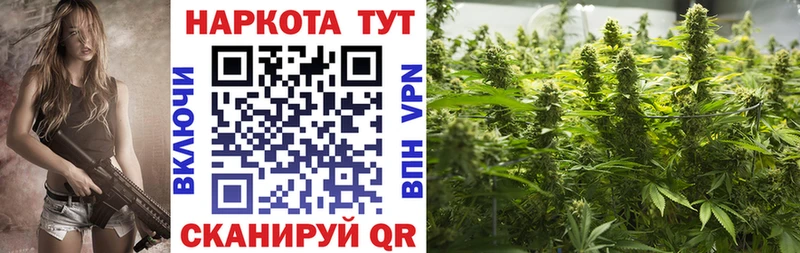 Купить наркотики сайты Мещовск Бошки Шишки  блэк спрут   ГАШ  Галлюциногенные грибы  МЕФ  COCAIN 