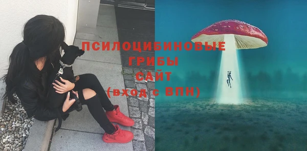 бошки Кукмор