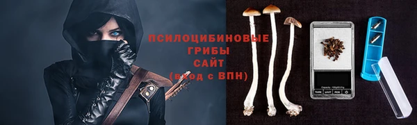 мдпв Кулебаки