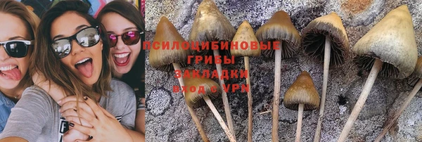 мескалин Ладушкин