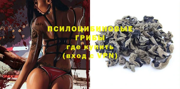 мдпв Кулебаки